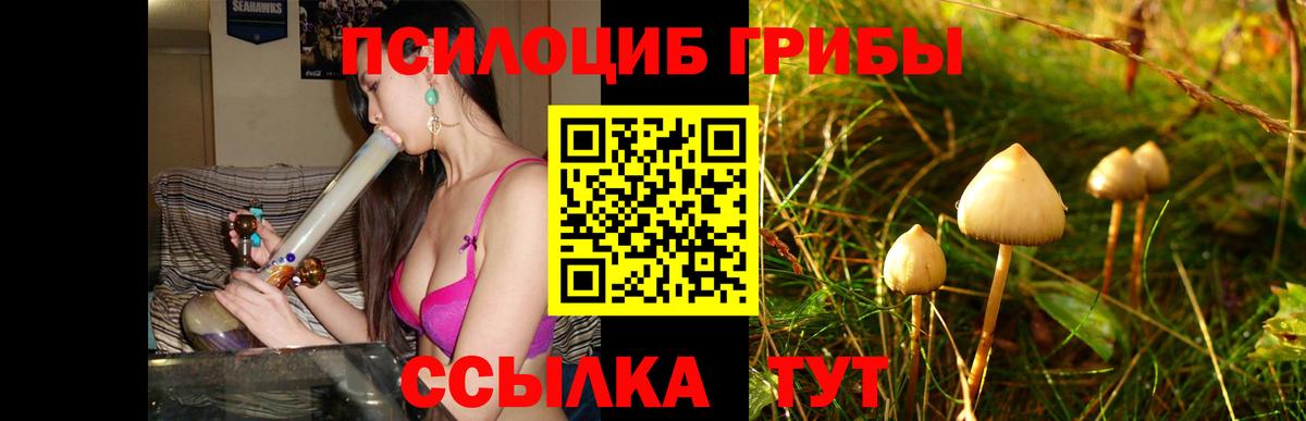 Псилоцибиновые грибы мицелий Изобильный
